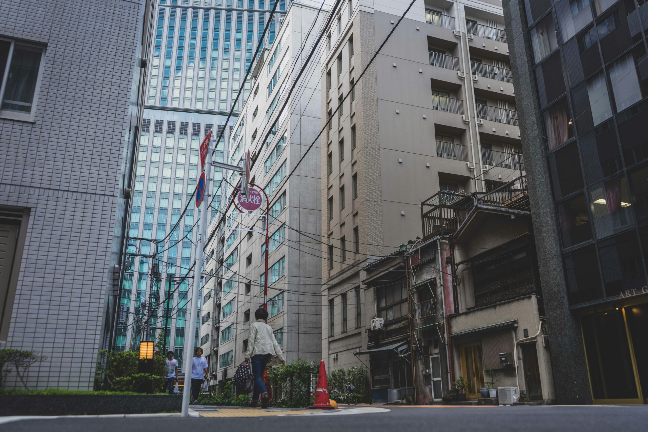 Photo by Caroline Roose on Unsplash