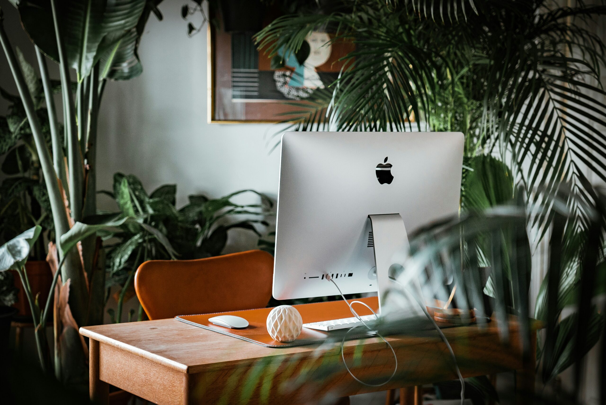 Photo by Andreas Rasmussen on Unsplash