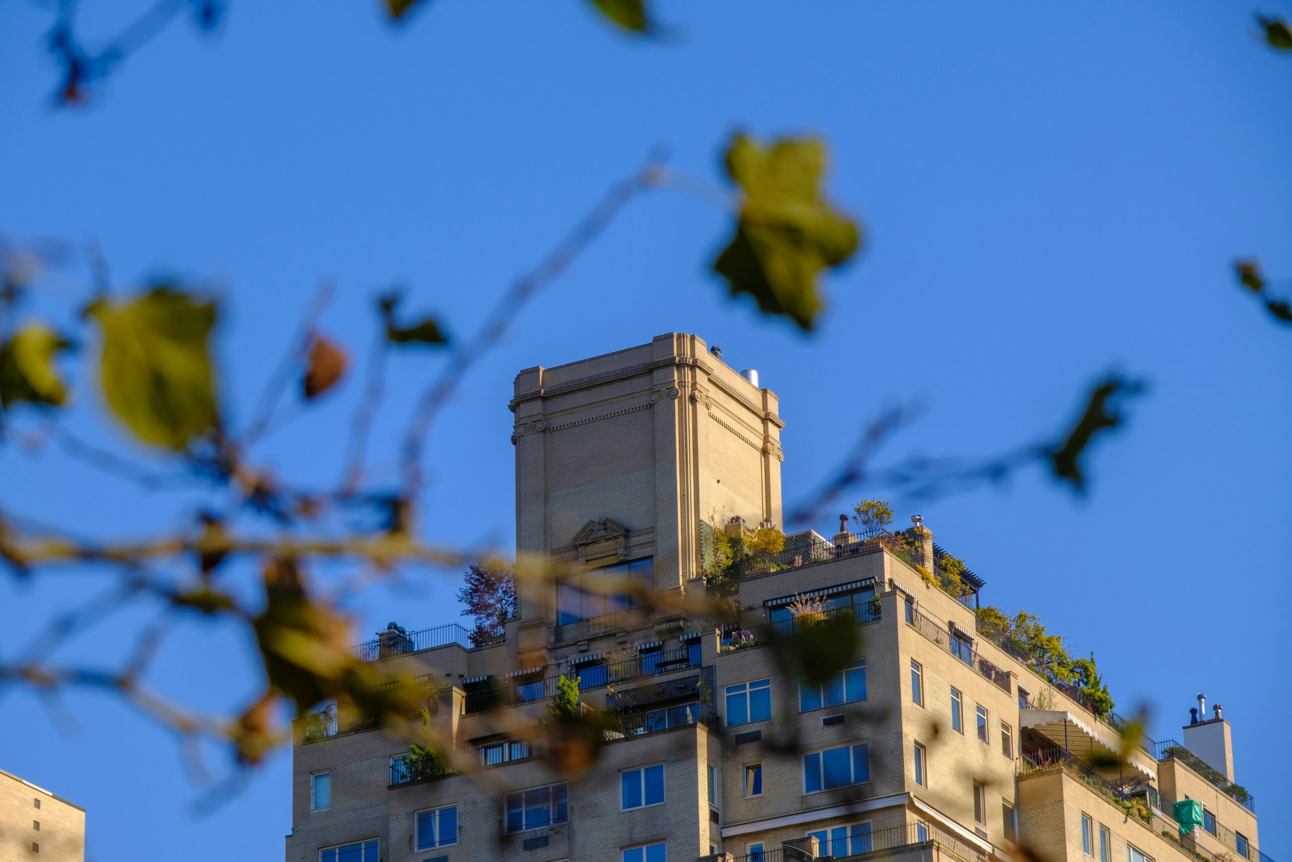 Photo by Far Chinberdiev on Unsplash