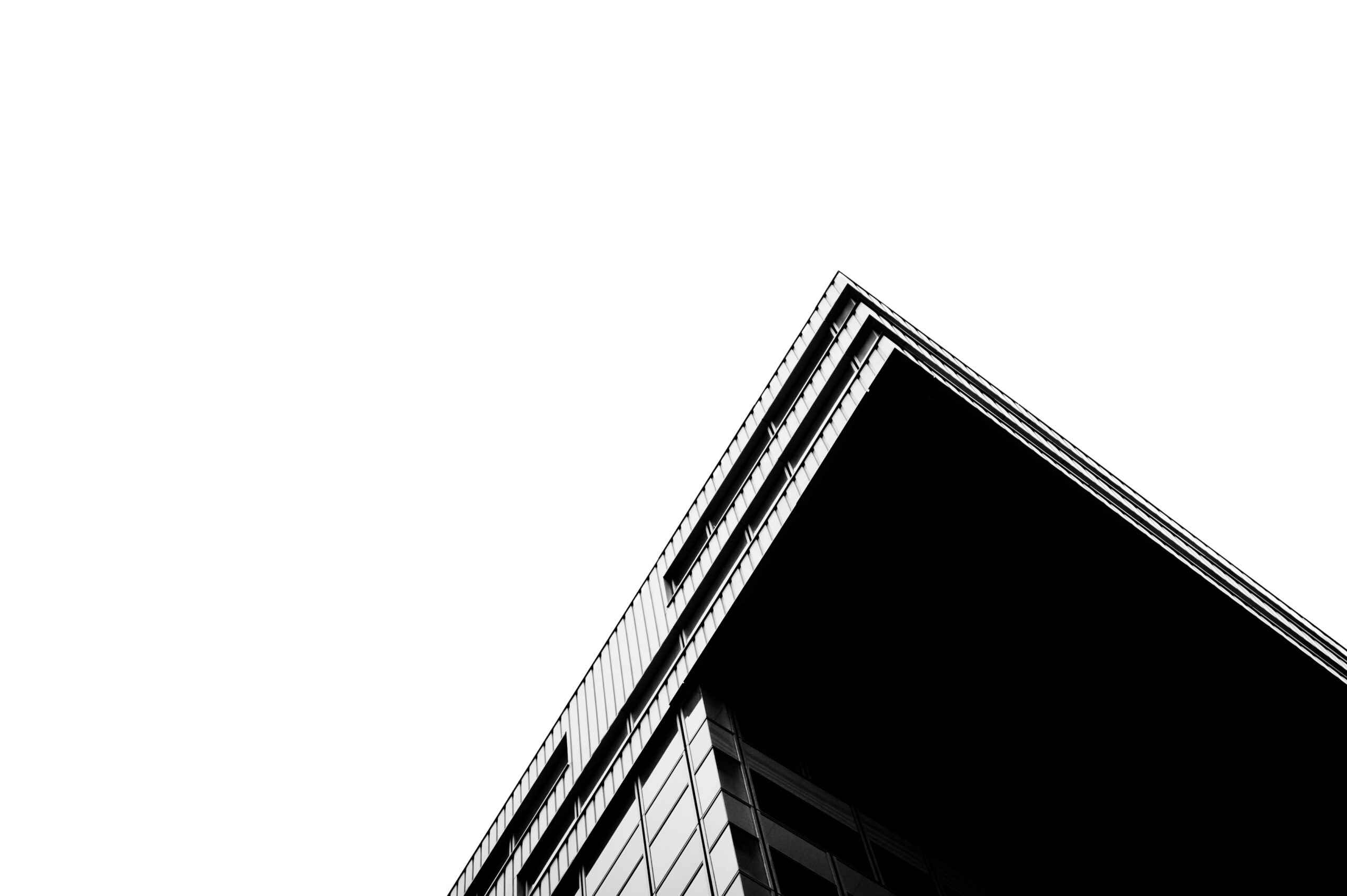 Photo by Elimende Inagella on Unsplash