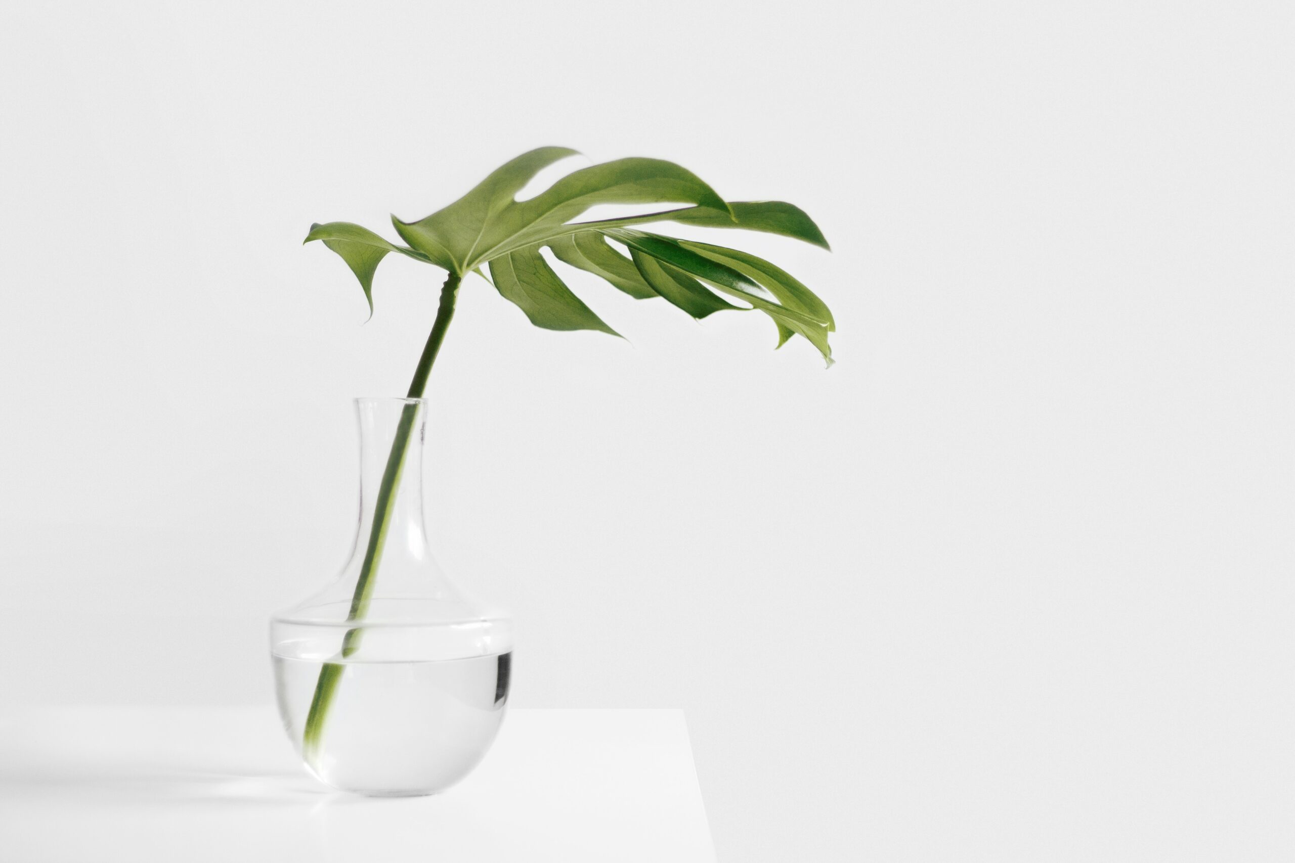 Photo by Sarah Dorweiler on Unsplash